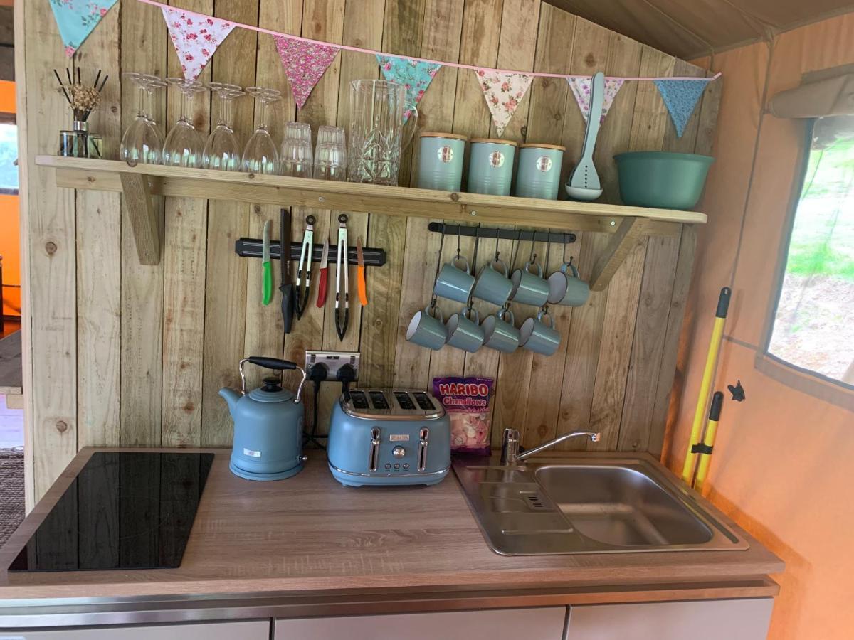 Mountain View Safari Tent With Hot Tub In The Heart Of Snowdonia Dolgellau Eksteriør billede