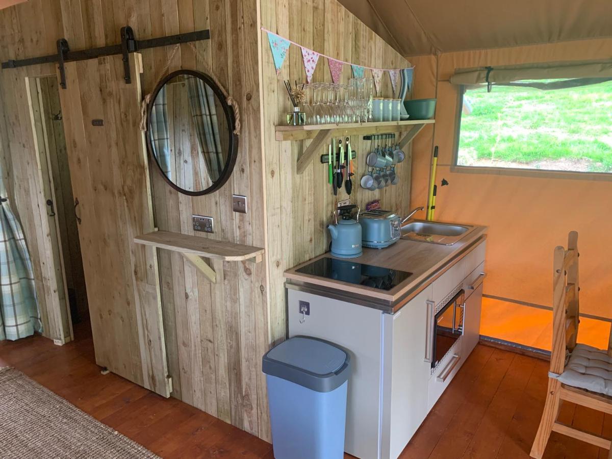 Mountain View Safari Tent With Hot Tub In The Heart Of Snowdonia Dolgellau Eksteriør billede