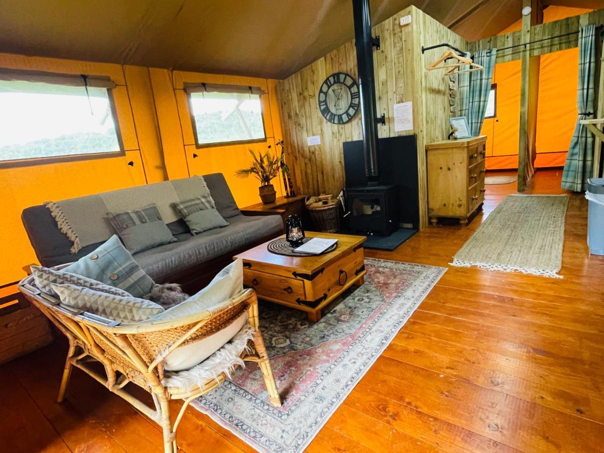 Mountain View Safari Tent With Hot Tub In The Heart Of Snowdonia Dolgellau Eksteriør billede